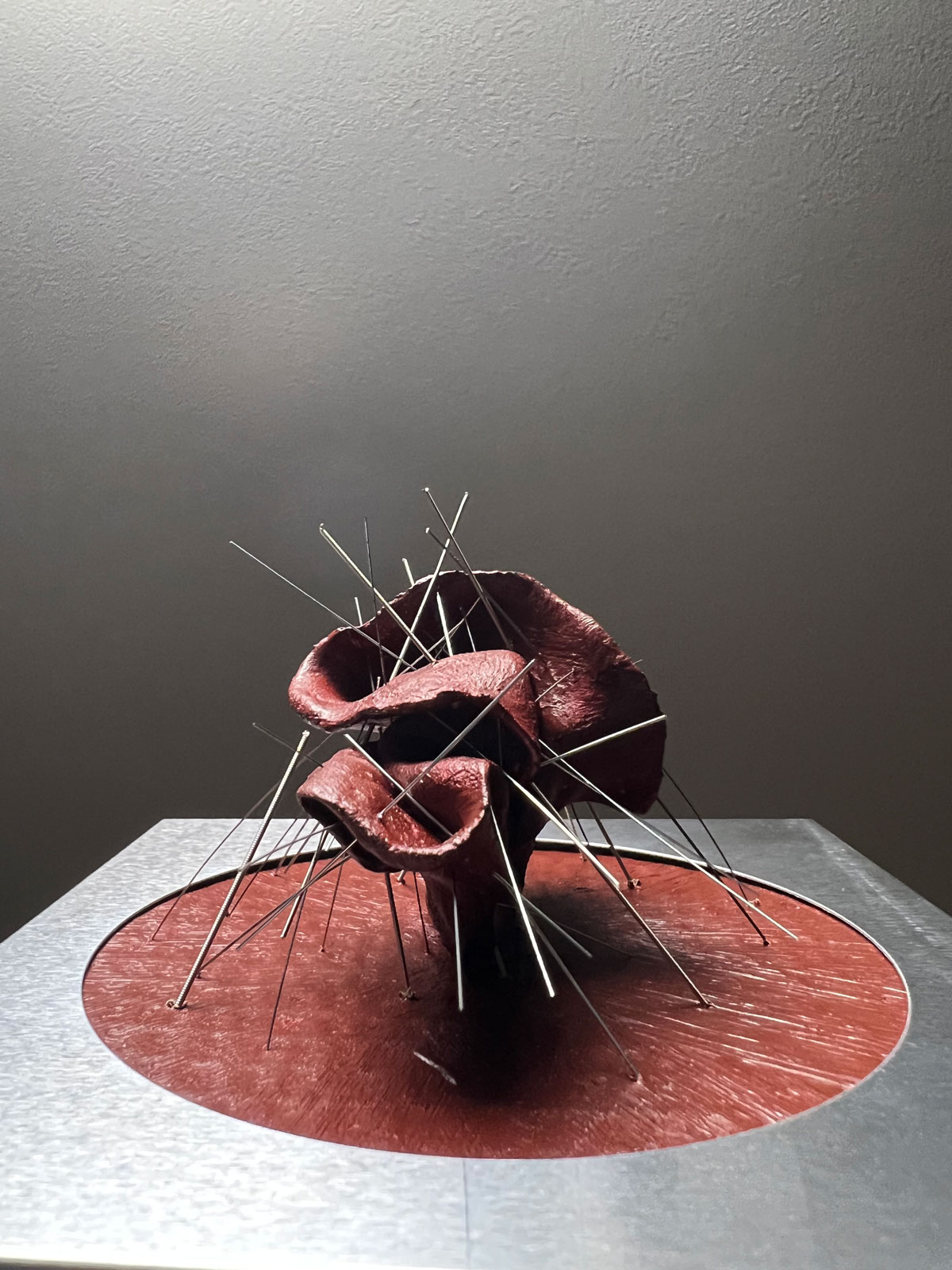 ユーザが追加した画像