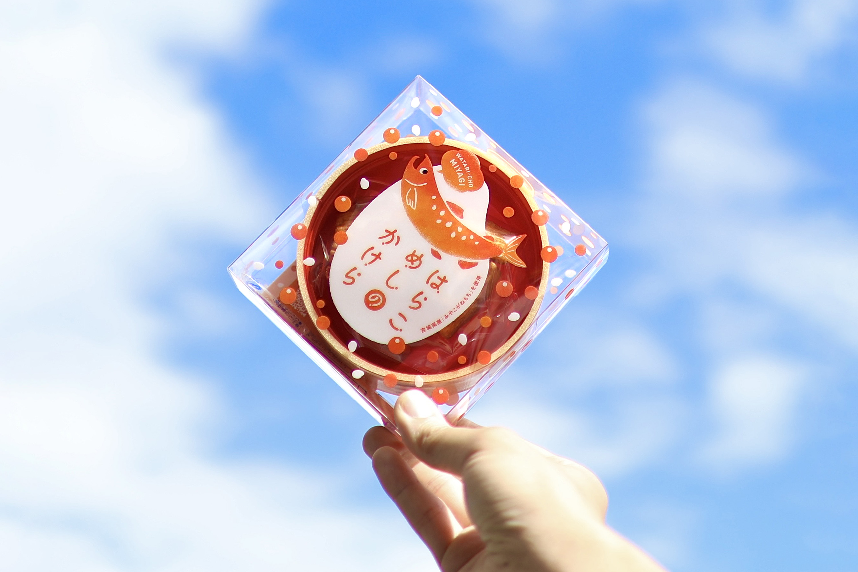 ユーザが追加した画像